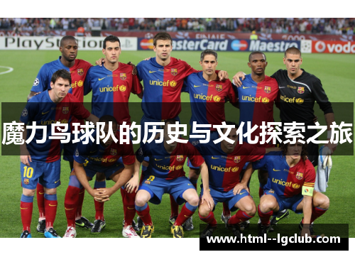 魔力鸟球队的历史与文化探索之旅