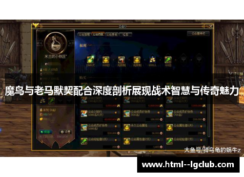 魔鸟与老马默契配合深度剖析展现战术智慧与传奇魅力